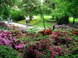 Wojslawice Arboretum