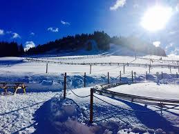 Speed Luge Vercors