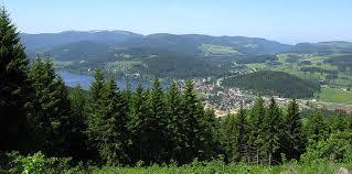 Hochfirst