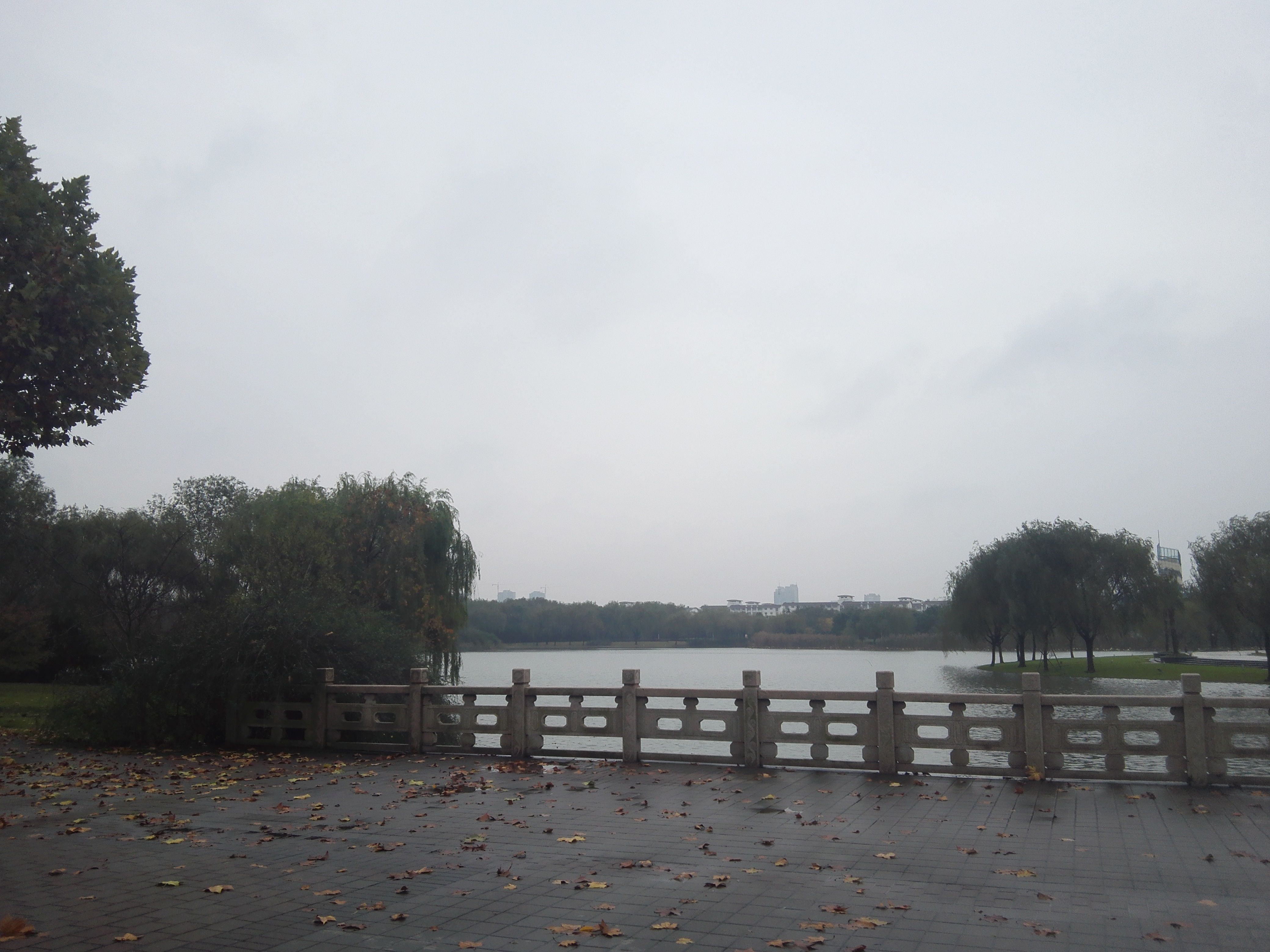 Donghua University