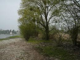 Wasserburger Bucht