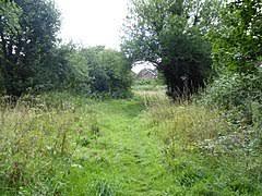 Stoke Park Wood