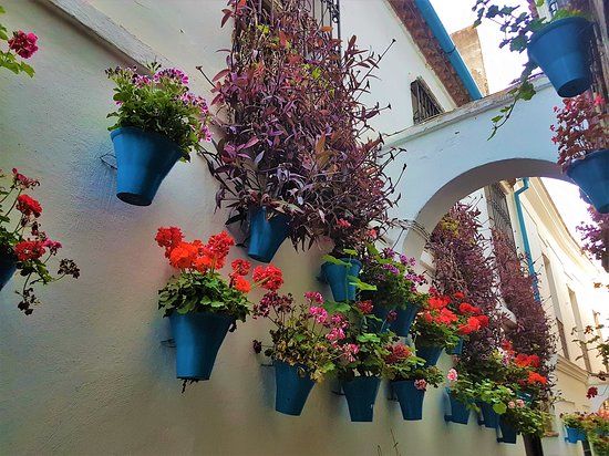 Ruelle des fleurs