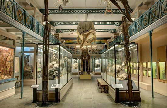 Geology and Natural History Museum