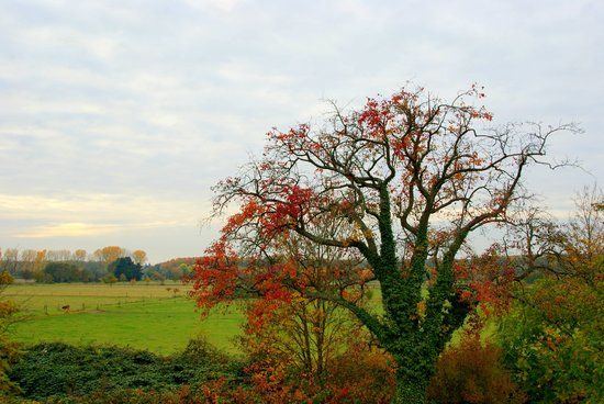 Mundenhof