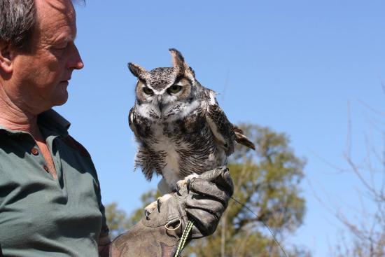 S&D Falconry