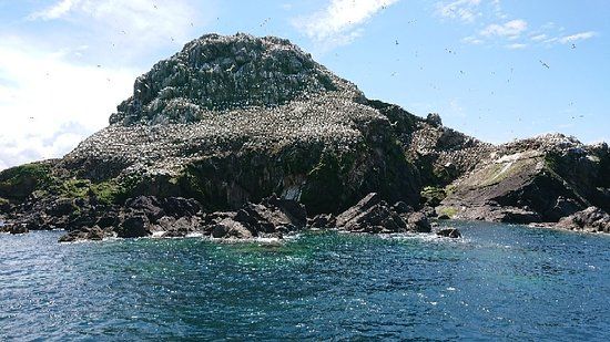 Reserve Naturelle des Sept Iles