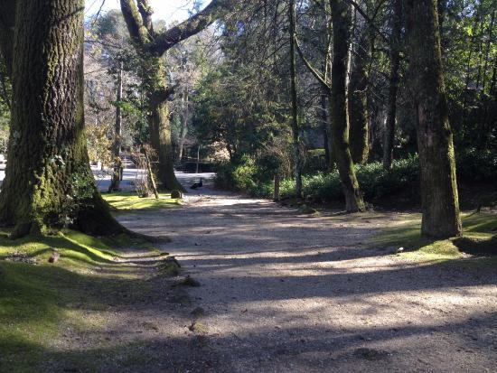 Parque do Fontelo