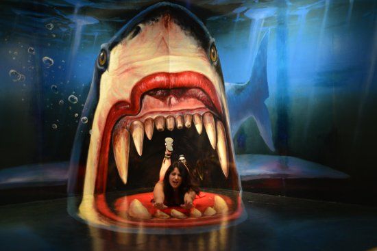 3D Gallery