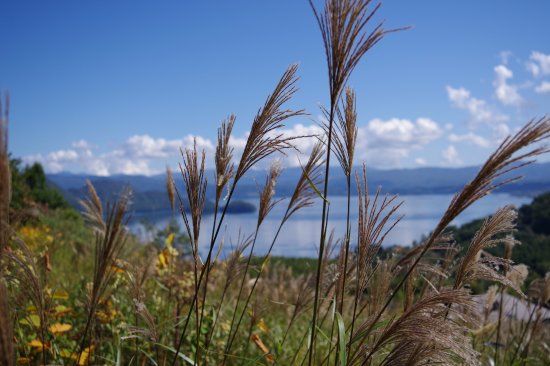 Lake Toya Ranch