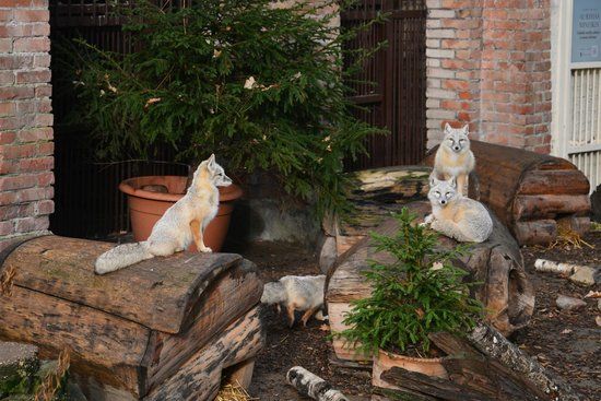 Lithuanian Zoo