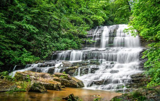 Pearson's Falls