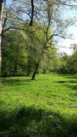 Sub Arini Park